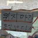 또또문구 이미지