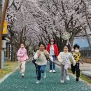 문척초교 이미지