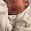 유성세탁 | 유성미즈제일여성병원 산후조리원 9박 10일 이용후기,비용