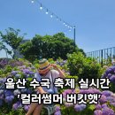 울산수국축제 실시간후기 - 니트버킷햇 판매