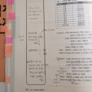 쌩초보 엑셀을 시작하다. | 제45회 SQLD 사전점수 발표, 한번에 합격 후기 (비전공 문과생 공부법)