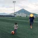 웅상체육공원축구장 네이버블로그