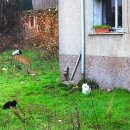 둘셋약국 이미지