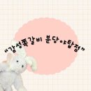 분당-376 | 경기 성남시 분당구 야탑동 야탑역 근처 초벌 쪽갈비 야탑맛집“감성쪽갈비 분당야탑점”후기