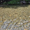 계곡사슴팬션 이미지