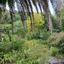 모네정원 이미지