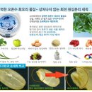 크린 스마트 이미지