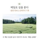개금1,3세대행복마을센터 | [공지] 박승흡의 메밀 순례기