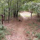 이동백 소리길 이미지