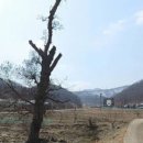 수신면행정복지센터 이미지