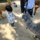 현진태권도 이미지