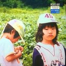 세쌍둥이네 풀꽃세상 이미지