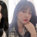 젤리피쉬 이미지