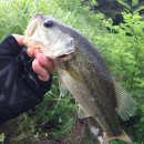 선행저수지 이미지