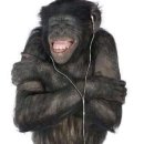 알파(주)본점 | 몸이 좋지 않아 병원에 갔더니 알파메일 진단을 받았어요. 모두 그동안 고마웠어요.