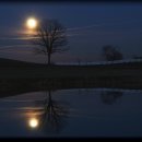 Moonlight Daum카페