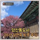 통도사로 | [양산] 매화 피기 시작한, 양산 통도사 (설연휴 방문 후기)