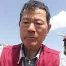 담안 Daum카페