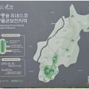 광릉(수목원)숲길 후기