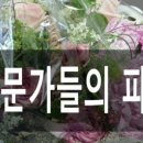 다원커리어 이미지