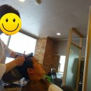 비타브리드(광화문점) 이미지