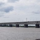 길손과 풀꽃 이미지