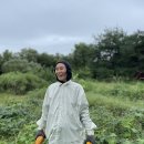 미양농장 이미지