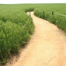 윤용하 농장 이미지