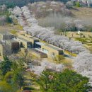 경주솔거미술관 이미지