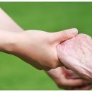 모든특장 이미지