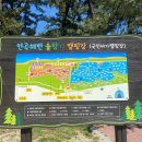 A132 | [4월캠핑] 연곡해변 솔향기 캠핑장 A존 126 후기