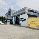 충북 괴산 아쿠아리움 은어 특별전 후기: 은빛 물결 관람 포인트