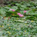 닭머르해안길 이미지