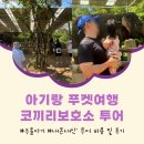 푸켓 코끼리보호소 아기랑 투어 비용 예약방법 내돈내산 후기