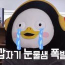 (주)전희