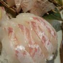 스시 쥬베이 이미지