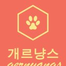 치즈멍