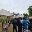 연소프트 | 두물머리 먹거리, 연핫도그 / 연잎 소프트 아이스크림 + 두물정원 카페