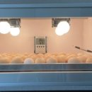 석원농장 이미지