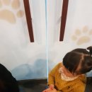 모모몽 애견까페 이미지