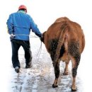 봉우농장 이미지