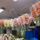 터미널시장 | [웨딩부케] 웨딩 촬영 셀프 웨딩 부케 만들기/고속터미널 꽃시장 쥬리원예 후기