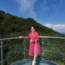 거제도애광원 이미지