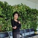 라인댄스(A) 이미지