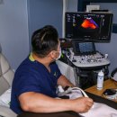 H 동물병원 이미지