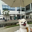 인계백화점약국 이미지