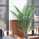 스타보드15 이미지