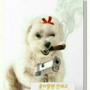 멍멍멍 - 서귀포시 현청로 51 | 멍멍멍