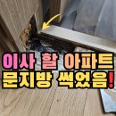 욕실문지방 교체 물먹어 썩은 화장실문틀 변색된 마루 부분수리 후기