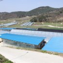 탑골농장 이미지